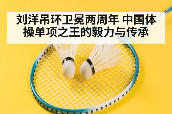 刘洋吊环卫冕两周年 中国体操单项之王的毅力与传承